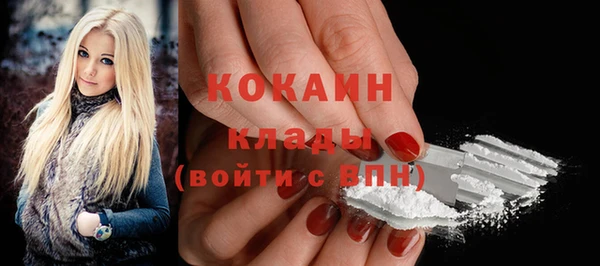 спайс Богданович