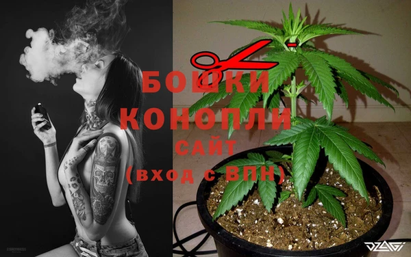 амф Белокуриха