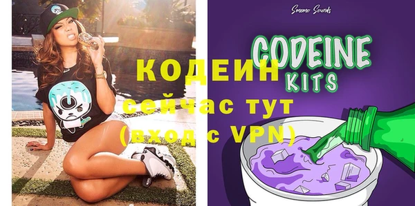 хмурый Богородск