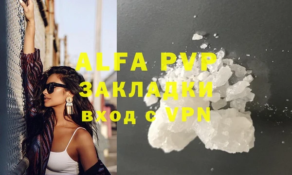 спайс Богданович