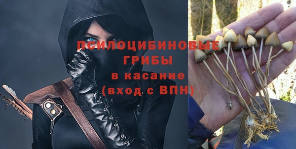 амф Белокуриха