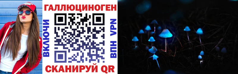 закладки  Волжск  Псилоцибиновые грибы Psilocybe 