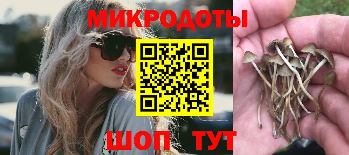 Волжск  Псилоцибиновые грибы MAGIC MUSHROOMS  Псилоцибиновые грибы мухоморы  Вход с VPN 